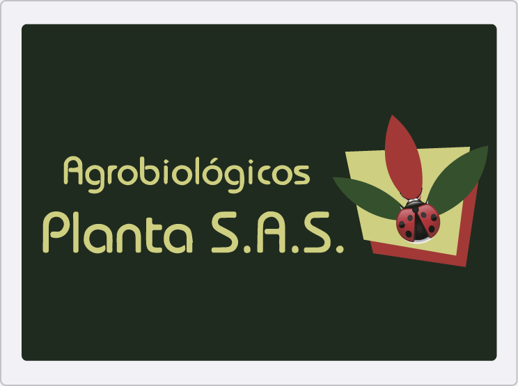 capacitacion-kata-malu-24.png